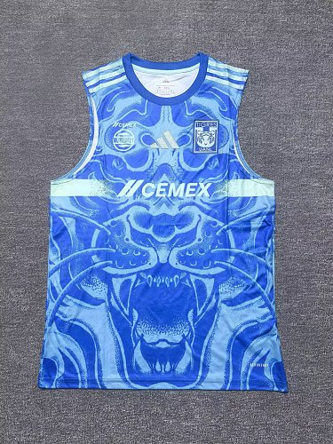 Azul Tigres Visitante