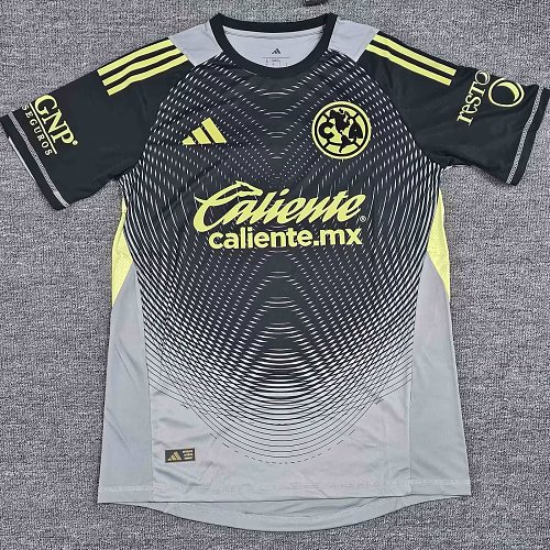 Gris y Verde América Portero Versión Jugador