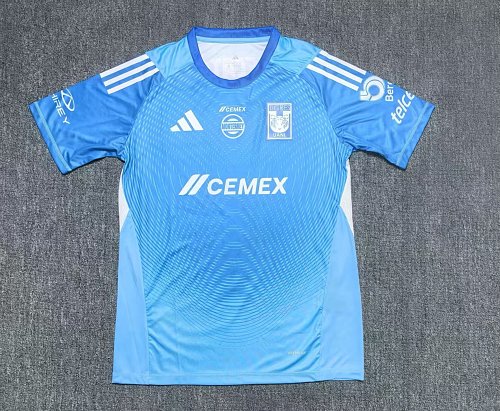Azul Tigres Portero Versión Jugador